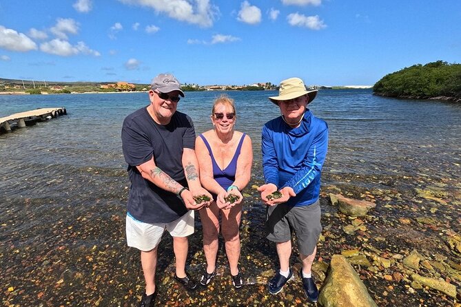 Sunset Sea Glass Island Kayak Tour - Starting at Savaneta around 4:30 pm