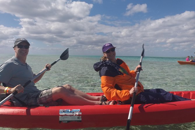 Sweetings Cay Mangrove Kayaking and Turtles - Cruise ship timing needs extra care