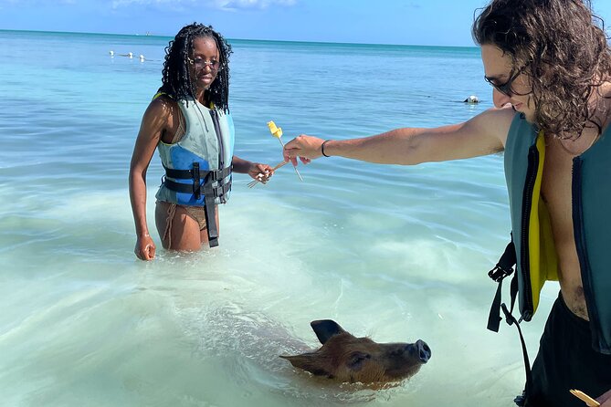 Swim with the Pigs Freeport @Creative Eco Adventures - Who Will Enjoy This Most?