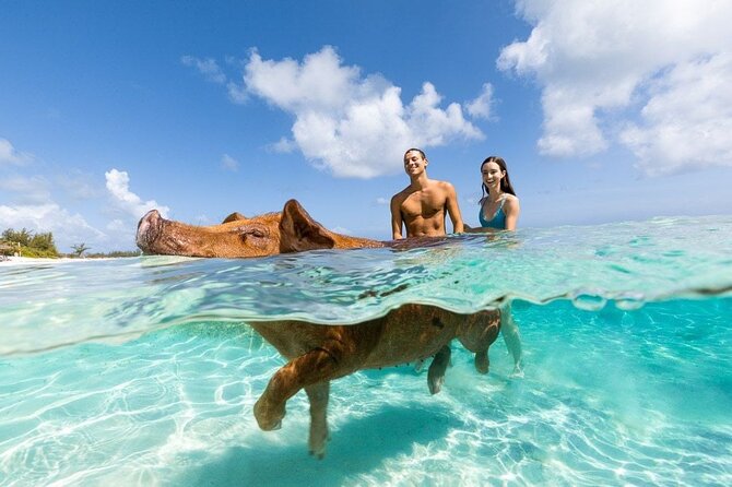 Swim with the Pigs Safari in Bahamas (2hrs) - Cruising through Atlantis from the water