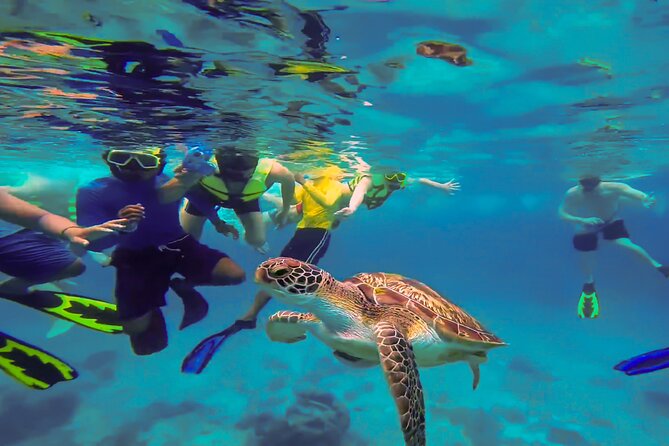Swim with Turtles at Turtle Bay, Curacao: Boat, Blue Room Cave - Daaibooi Beach gives you a needed break