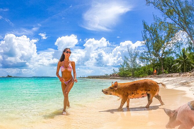 Swimming Pigs and Pearl Island Beach Escape - What the $174 price really covers