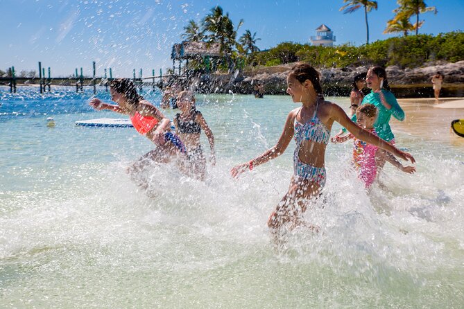 Swimming Pigs and Pearl Island Beach Escape - Should you book Swimming Pigs and Pearl Island?
