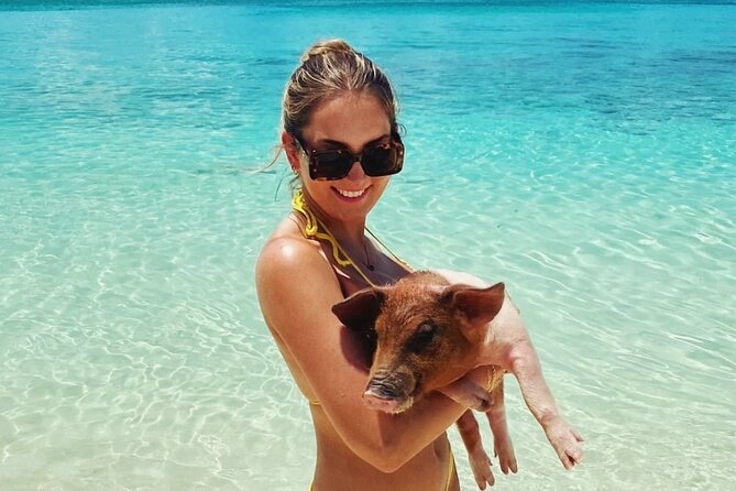 Swimming Pigs and Private Beach Club Escape - The pig encounter: fun, close, and shorter than the advertising suggests