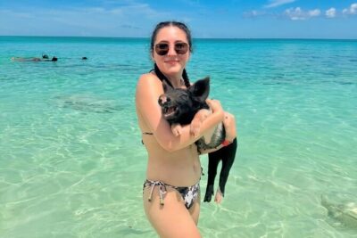 Swimming Pigs and Private Beach Club Escape