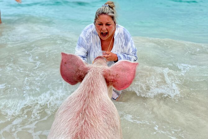 Swimming Pigs and Private Beach Club Escape - The beach club fills out the half-day