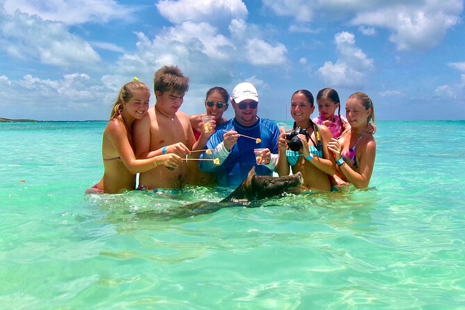Swimming Pigs and Private Beach Club Escape - Is $149 a fair price?