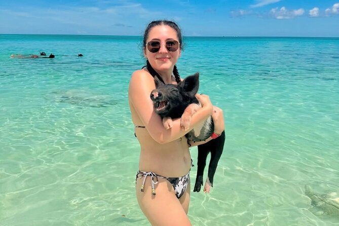 Swimming Pigs and Private Beach Club Escape - What happens before the boat leaves Nassau