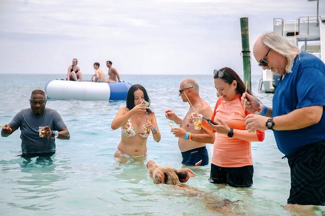 Swimming Pigs Of Rose Island Water Taxi Nassau Bahamas - Beach time, lunch, and optional activities