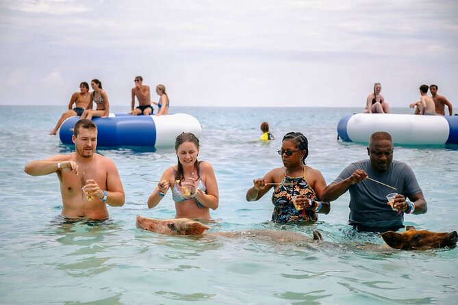Swimming Pigs Of Rose Island Water Taxi Nassau Bahamas - Feeding the pigs in the water