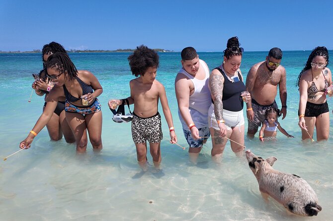 Swimming Pigs, Snorkeling and Beach Tour in Nassau Bahamas - Starting at Elizabeth on Bay and cruising past Atlantis