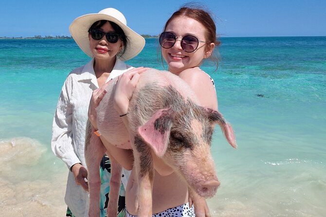 Swimming Pigs, Snorkeling and Beach Tour in Nassau Bahamas - Who should book this Nassau outing