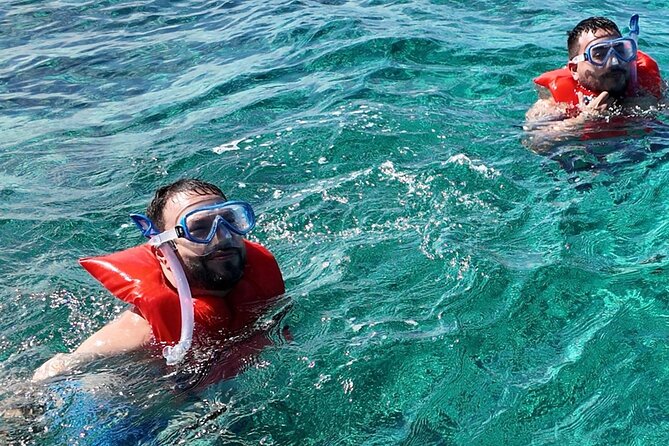 Swimming Pigs, Snorkeling and Beach Tour in Nassau Bahamas - Booking advice for weather and timing