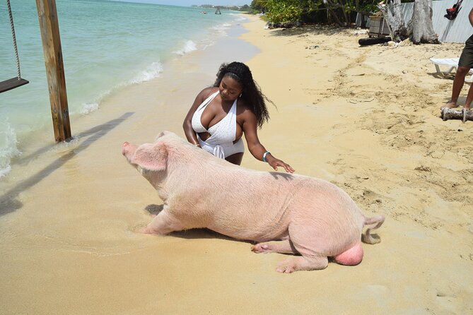 Swimming with Pigs in Nassau, Transportation Included - The ride from Nassau adds local color