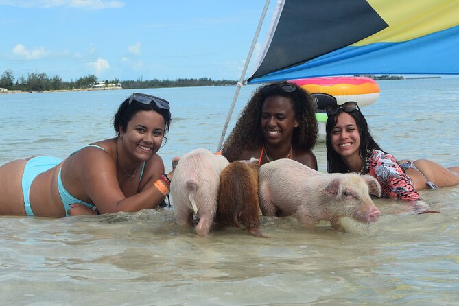 Swimming with Pigs in Nassau, Transportation Included - What lunch is like at the beach shack