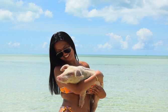 Swimming with Pigs in Nassau, Transportation Included - How much value you get for $179