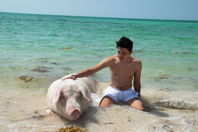 Swimming with Pigs in Nassau, Transportation Included - Weather, safety, and realistic expectations