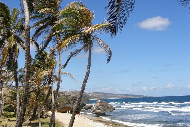 Taste of Barbados Full-Day Sightseeing tour - A full day built around Barbados in miniature