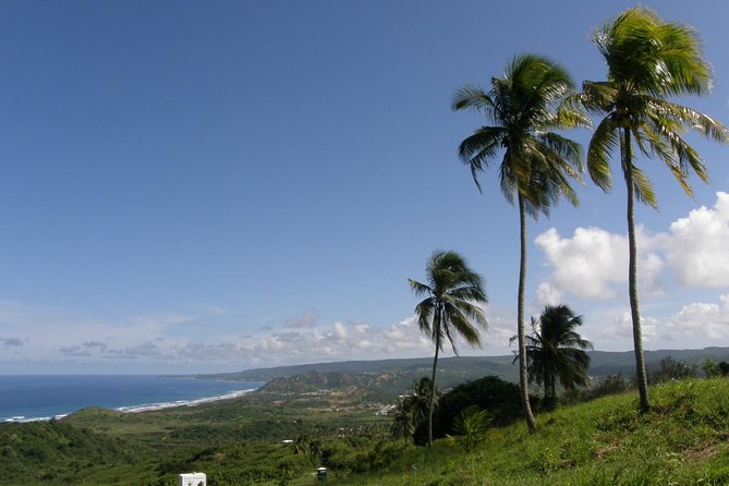 Taste of Barbados Full-Day Sightseeing tour - St. Nicholas Abbey, plantation house and rum distillery