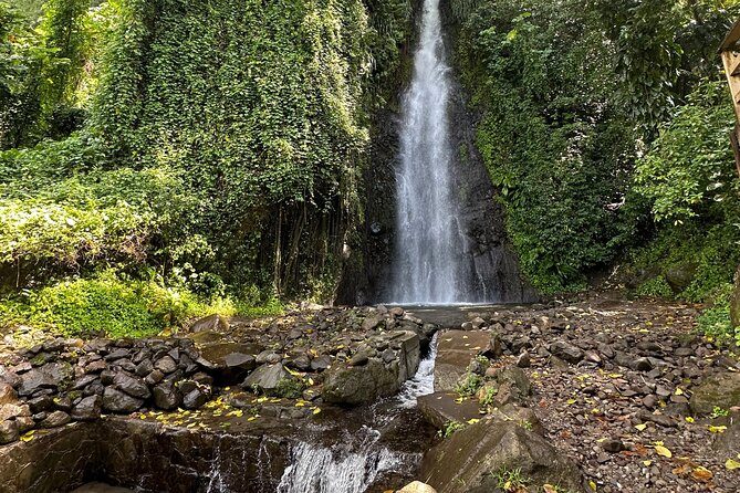 The Cascading Dark View Falls and Beach Experience with Topdawg Taxi and Tours - A waterfall trip that also shows you St. Vincent’s west coast