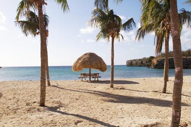The Curacao Full Day Private Tour Experience - Choose a beach, or choose several