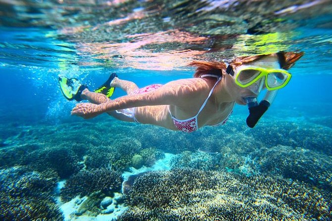 The Original Eco Tour Full-Day Around the Island of Sint Maarten - Tintamarre: a quiet first hour on shore