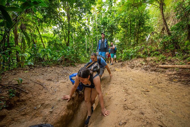 Top Rated El Yunque Rainforest & Waterslide – SmallGroup Tour - What the trail is really like