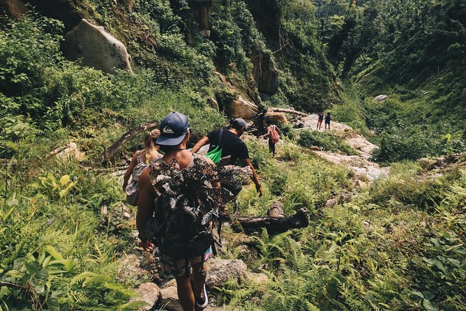Top Rated El Yunque Rainforest & Waterslide – SmallGroup Tour - The guides are a major part of the value