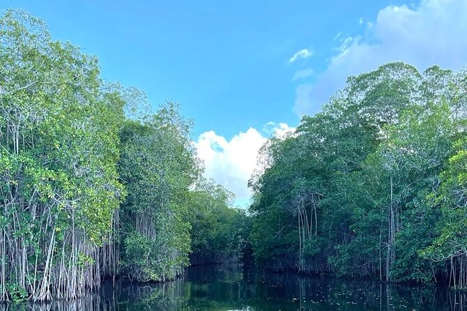 Tour to Black River and YS Falls - What the vehicle and guide add to the day