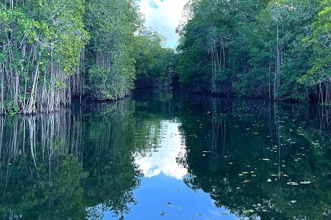 Tour to Black River and YS Falls - Who will enjoy this tour most?