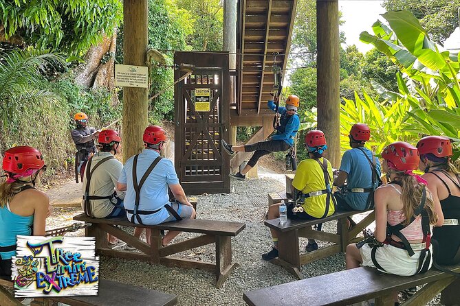 Tree Limin' Extreme Zipline - Six lines, two bridges, and a changing pace