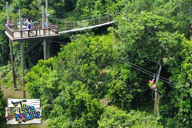 Tree Limin' Extreme Zipline - Who will enjoy this most