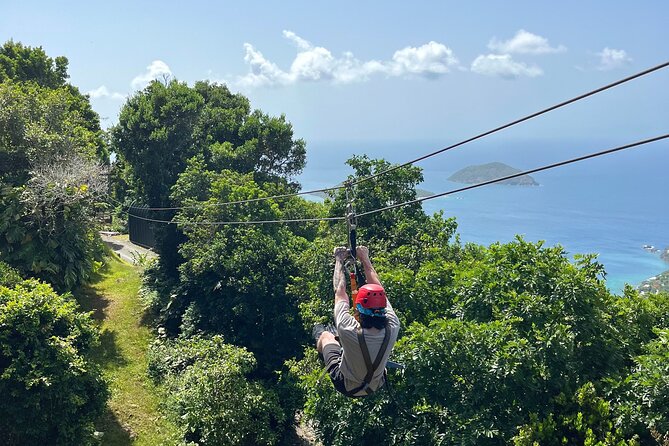 Tree Limin' Extreme Zipline - Is $155 a fair price?