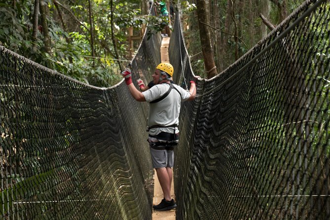 Treetop Adventure Park Canopy Tour - Key points at a glance