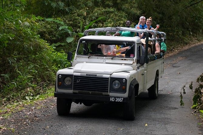 Treetop Adventure Park Canopy Tour - The ride to Treetop Adventure Park