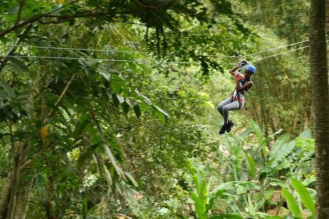 Treetop Adventure Park Canopy Tour - Twelve lines above the rainforest