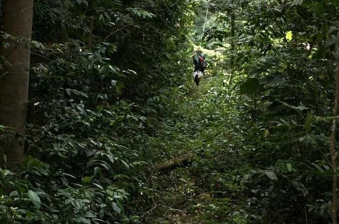 Treetop Adventure Park Canopy Tour - Is $101.54 a fair price?