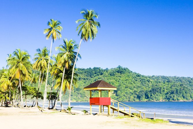 Trinidad Highlights and Scenic Drive Tour - Key points to know before booking