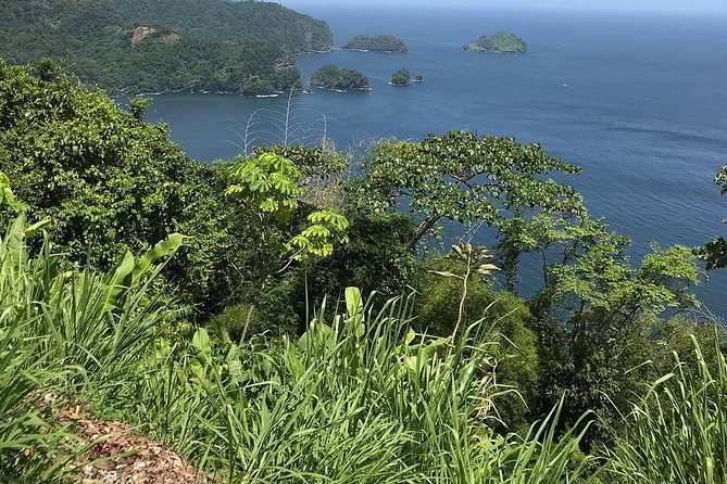 Trinidad Highlights and Scenic Drive Tour - A quiet pause in the Botanical Gardens