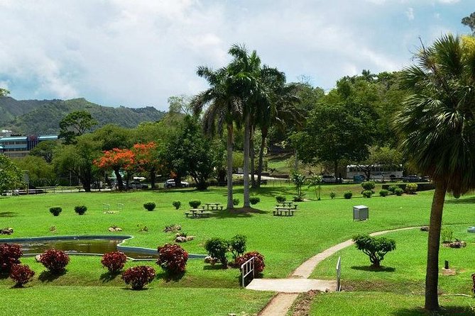 Trinidad Highlights Tour from Port of Spain - The road to Maracas Beach
