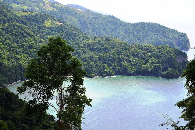 Trinidad Highlights Tour from Port of Spain - An hour at Maracas Beach