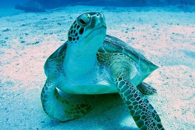 Tropical Catamaran Snorkeling & Sailing - Boat comfort matters after the first swim