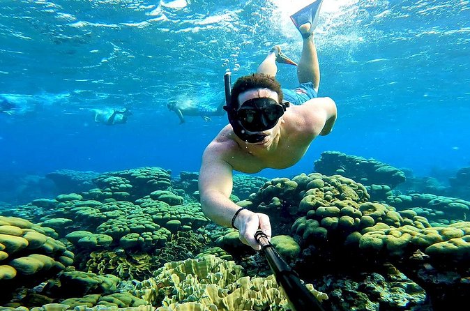 Tropical Sailing Experience with BBQ Lunch or BBQ Dinner in Aruba - Morning calm or afternoon sunset