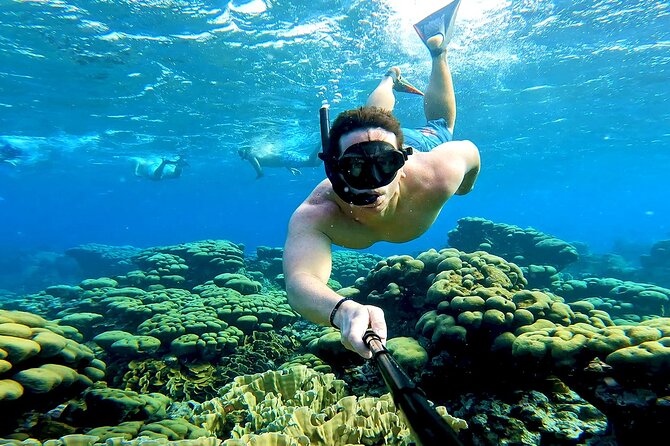 Tropical Sailing Experience with BBQ Lunch or BBQ Dinner in Aruba - Mangel Halto Reef and the snorkeling stop