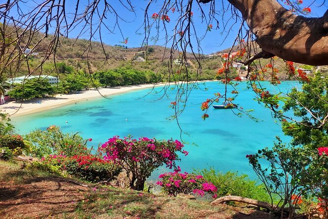 "Tropically Yours" - Key points to know before you book