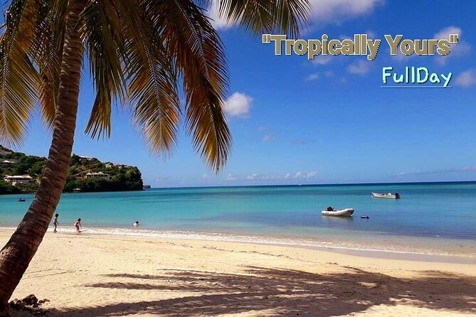 "Tropically Yours" - The guides make the difference