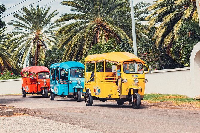 Tuk-Tuk Adventures Rainforest and Beach Hopping Tour - Why the tuk-tuk is a smart way to see Antigua