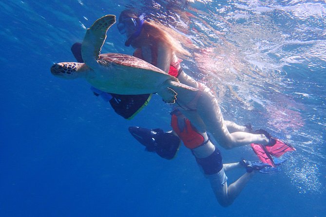 Turtle Beach Power Snorkeling Adventure - From pickup to Freeman’s Bay