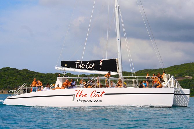 Turtle Cove Catamaran Snorkel and Sail at Little Buck Island STT - Best for families, cruise days, and turtle fans