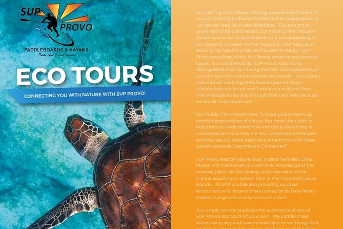 Turtle Eco Tour on Stand-Up Paddleboards or Kayaks into the National Marine Park - From the marina to the mangrove channels